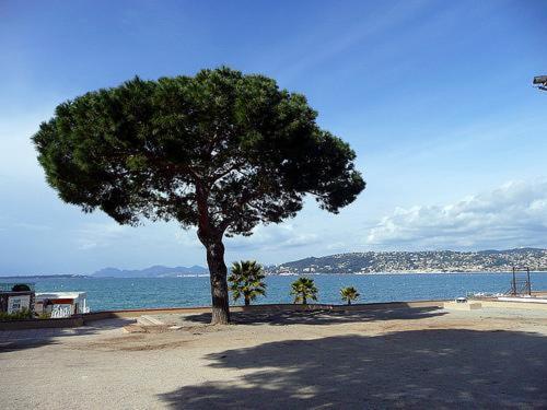 Appartement De Charme Coeur De Juan & Plages 昂蒂布 外观 照片